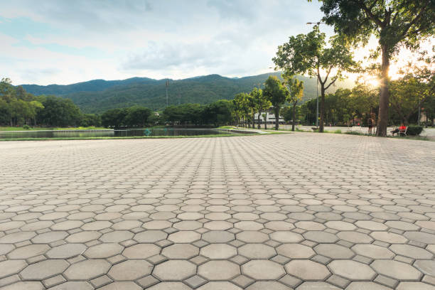 Best Local Driveway Pavers  in Atco, NJ